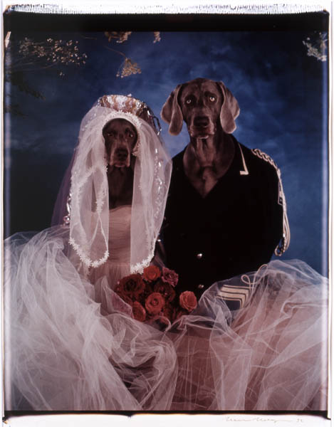 William Wegman Cinderella (mariés), 1993